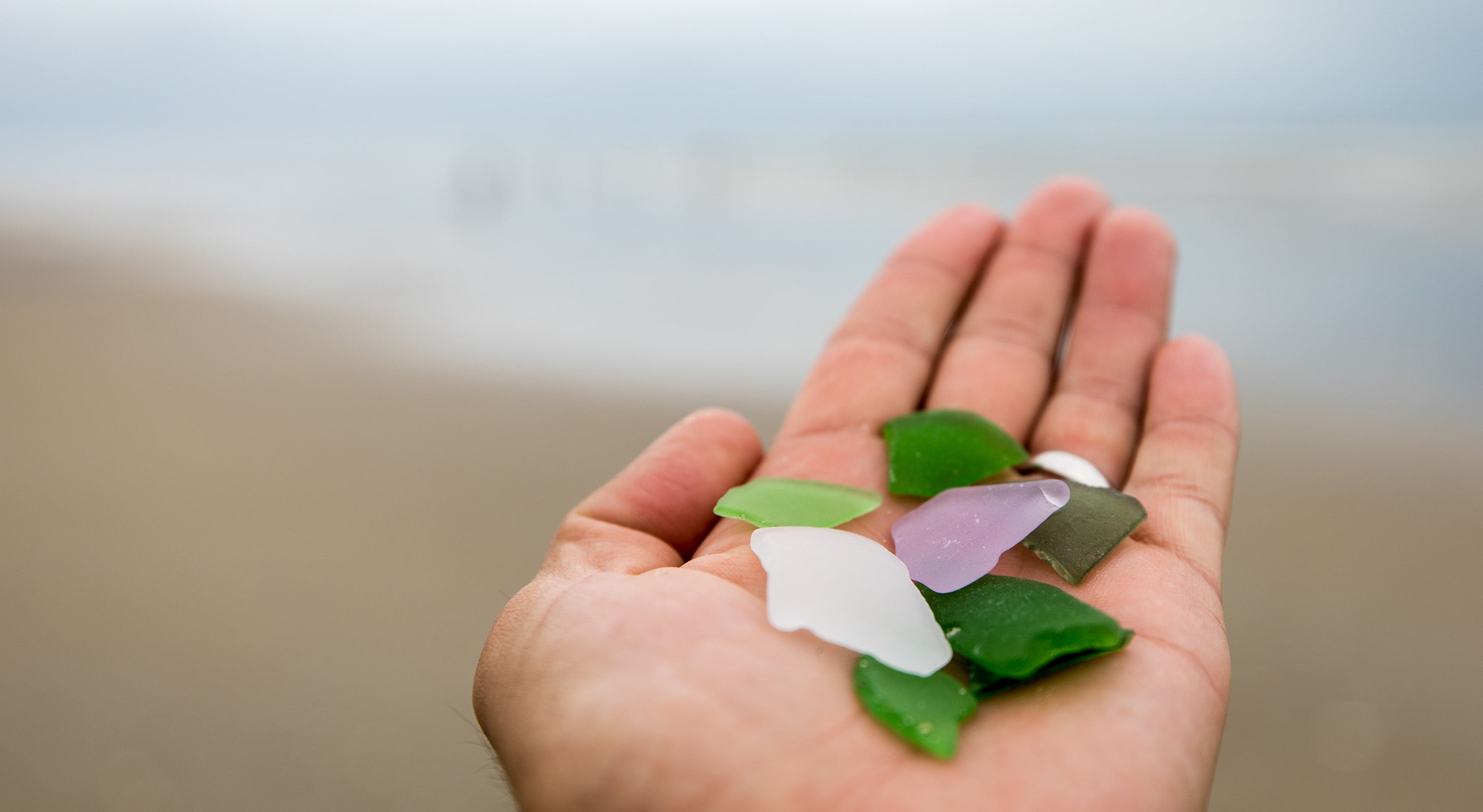hand holding sea shells and rocks